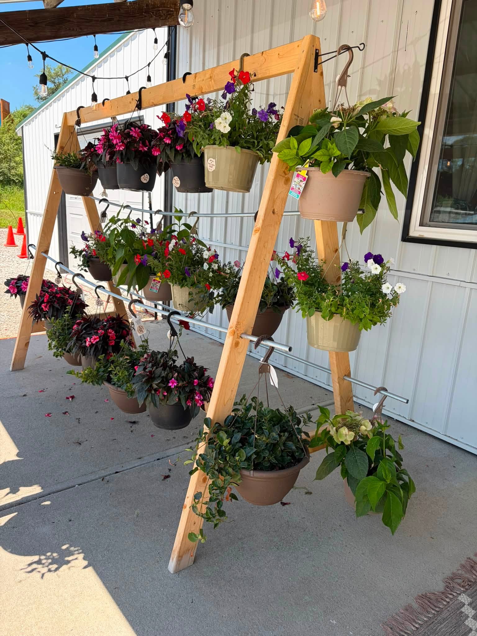 Hanging flower baskets and bedding plants for sale at Bennington Farms